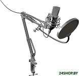 Картинка Микрофон Ritmix RDM-169