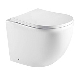 Картинка Унитаз WeltWasser Merzbach 002 MT-WT (белый матовый)