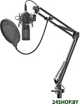 Картинка Микрофон Genesis Radium 400 (NGM-1377)