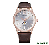 Картинка Наручные часы Citizen AK5003-05A