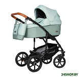 Картинка Детская универсальная коляска RIKO Basic Bella Life 2 в 1 (02/Basul)