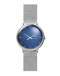 Картинка Наручные часы Skagen SKW6584