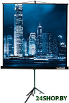 Картинка Проекционный экран Lumien Master View 244x244 (LMV-100105)