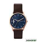 Картинка Наручные часы Skagen SKW6395