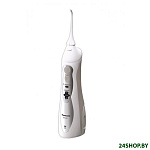 Картинка Ирригатор Panasonic EW1411