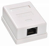 Картинка Сплиттер Buro RJ45/RJ45 (TL-CAT-013)