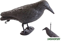 AG384