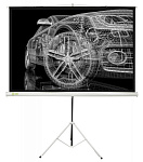 Картинка Проекционный экран Cactus Triscreen CS-PST-124x221см