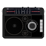 Картинка Радиоприемник Ritmix RPR-205 (черный)