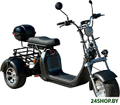 X11 Trike 2025