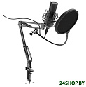 Микрофон Ritmix RDM-180