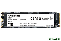 Картинка SSD Patriot P300 1TB P300P1TBM28