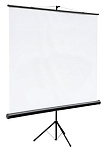 Картинка Проекционный экран DIGIS 160x160см [DSKC-1101]