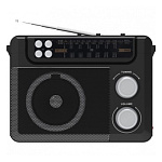 Картинка Радиоприемник Ritmix RPR-200 (черный)