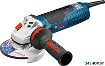 Картинка Угловая шлифмашина Bosch GWS 19-125 CI Professional [060179N002]
