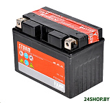 Картинка Мотоциклетный аккумулятор FIAMM FTZ12S-BS (11 А/ч)