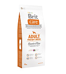 Картинка Сухой корм для собак Brit Care Adult Medium Breed Lamb and Rice 12 кг