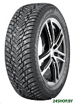 Картинка Автомобильные шины Nokian Hakkapeliitta 10p 245/40R18 97T