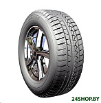 Картинка Автомобильные шины Petlas SnowMaster W651 205/50R17 93V