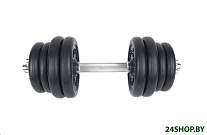 Картинка Гантель разборная Central Sport N3 17 кг