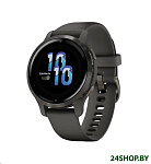 Картинка Умные часы Garmin Venu 2S (сланцевая нержавеющая сталь/черный)