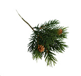 Картинка Ветка новогодняя GreenDeco С шишками 4630079858156 (зеленый)