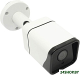 Картинка IP-камера Orient IP-505