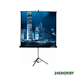 Картинка Проекционный экран Lumien Master View 165x220 LMV-100113