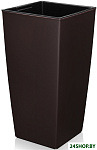 Camellia 570 (венге)