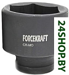 FK-4858065
