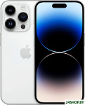 iPhone 14 Pro 1TB (серебристый)