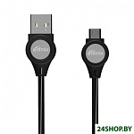 Картинка Кабели Ritmix RCC-419 (черный)