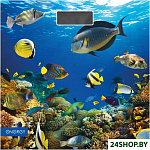 Картинка Напольные весы Energy EN-419M