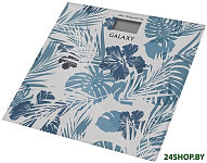 Картинка Весы GALAXY GL 4801