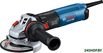 GWS 17-125 S Professional 06017D0300
