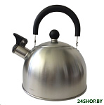 Картинка Чайник со свистком Astiat AST1026
