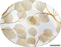 Blanche HTOS4256