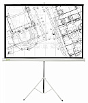 Картинка Проекционный экран Cactus Triscreen CS-PST-127X127см (белый)