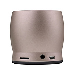 Картинка Беспроводная колонка Awei Y500 (золотистый)