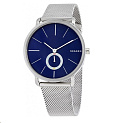 Наручные часы Skagen SKW6230