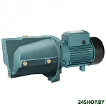 Картинка Поверхностный центробежный насос Grandfar JSWm75