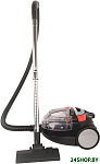 HYV-C3077