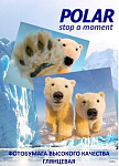 Картинка Фотобумага Polar глянцевая A3, 120 г/м2, 50 л [A3G8528]