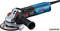 GWS 14-125 S Professional 06017D0100