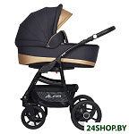 Картинка Универсальная коляска RIKO Alfa Ecco (3 в 1, 02)