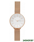 Картинка Наручные часы Skagen SKW2688