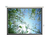 Картинка Проекционный экран Lumien Eco Control 244x244 LEC-100104