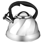 Картинка Чайник со свистком Webber BE-0525