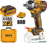 CIWLI2050 (с 2-мя АКБ, кейс)