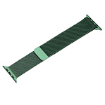 Картинка Браслет Evolution AW40-ML01 для Apple Watch 38/40 мм (space green)